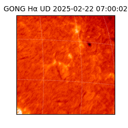 gong - 2025-02-22T07:00:02