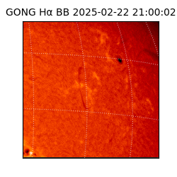 gong - 2025-02-22T21:00:02