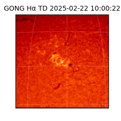 gong - 2025-02-22T10:00:22