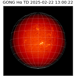 gong - 2025-02-22T13:00:22