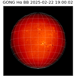 gong - 2025-02-22T19:00:02