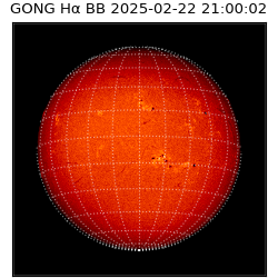gong - 2025-02-22T21:00:02