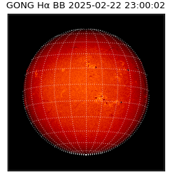 gong - 2025-02-22T23:00:02