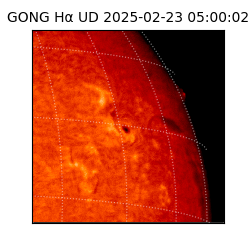 gong - 2025-02-23T05:00:02