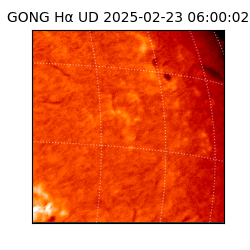 gong - 2025-02-23T06:00:02