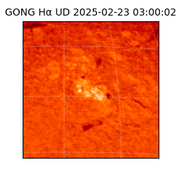 gong - 2025-02-23T03:00:02
