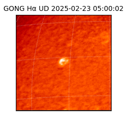 gong - 2025-02-23T05:00:02