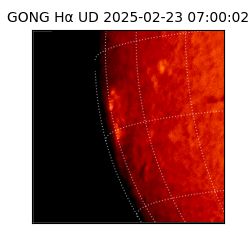 gong - 2025-02-23T07:00:02