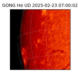 gong - 2025-02-23T07:00:02