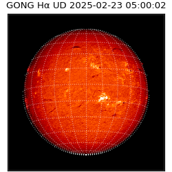 gong - 2025-02-23T05:00:02