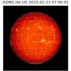 gong - 2025-02-23T07:00:02
