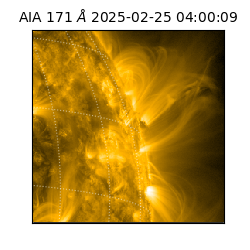 saia - 2025-02-25T04:00:09.350000