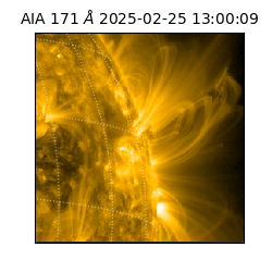 saia - 2025-02-25T13:00:09.350000