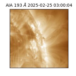saia - 2025-02-25T03:00:04.846000