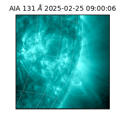 saia - 2025-02-25T09:00:06.622000
