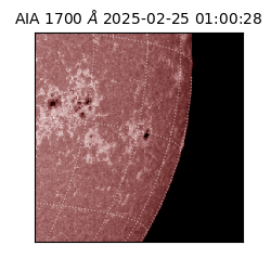 saia - 2025-02-25T01:00:28.717000