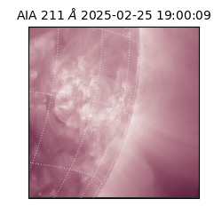 saia - 2025-02-25T19:00:09.625000