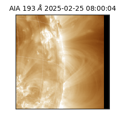 saia - 2025-02-25T08:00:04.844000