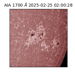 saia - 2025-02-25T02:00:28.717000