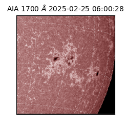 saia - 2025-02-25T06:00:28.709000