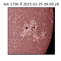 saia - 2025-02-25T09:00:28.721000
