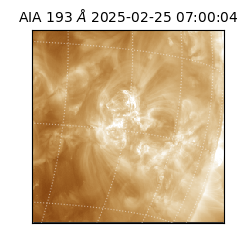 saia - 2025-02-25T07:00:04.844000