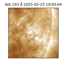 saia - 2025-02-25T19:00:04.843000