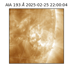 saia - 2025-02-25T22:00:04.843000