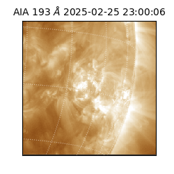 saia - 2025-02-25T23:00:06.936000
