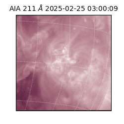 saia - 2025-02-25T03:00:09.631000