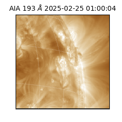 saia - 2025-02-25T01:00:04.846000