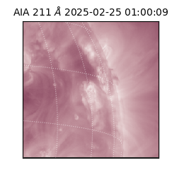 saia - 2025-02-25T01:00:09.626000