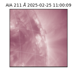 saia - 2025-02-25T11:00:09.630000