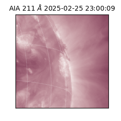 saia - 2025-02-25T23:00:09.622000