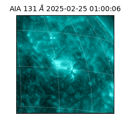 saia - 2025-02-25T01:00:06.622000