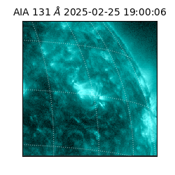 saia - 2025-02-25T19:00:06.622000
