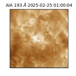 saia - 2025-02-25T01:00:04.846000
