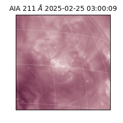 saia - 2025-02-25T03:00:09.631000