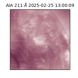 saia - 2025-02-25T13:00:09.629000