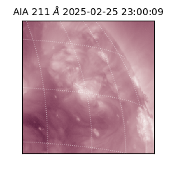 saia - 2025-02-25T23:00:09.622000