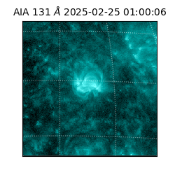 saia - 2025-02-25T01:00:06.622000