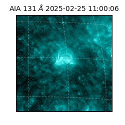 saia - 2025-02-25T11:00:06.622000