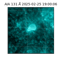 saia - 2025-02-25T19:00:06.622000