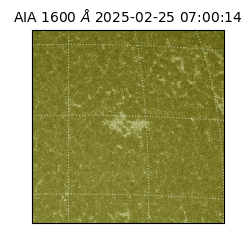 saia - 2025-02-25T07:00:14.125000