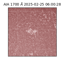 saia - 2025-02-25T06:00:28.709000