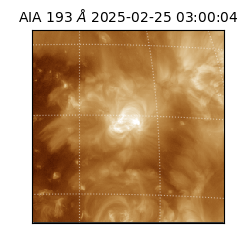 saia - 2025-02-25T03:00:04.846000