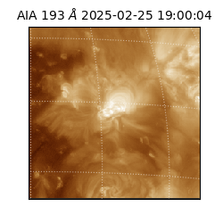 saia - 2025-02-25T19:00:04.843000