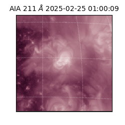 saia - 2025-02-25T01:00:09.626000