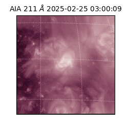 saia - 2025-02-25T03:00:09.631000