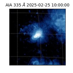 saia - 2025-02-25T10:00:00.626000